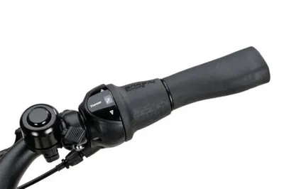Batavus Altura E-Go CP N7 7 versnellingen met Schijfrem met hydraulische bediening
